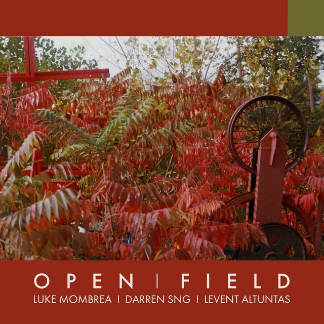 How a Redwood Forest Gets Captured on the Open Field Album by Luke Mombrea, Darren Sng and Levent Altuntas