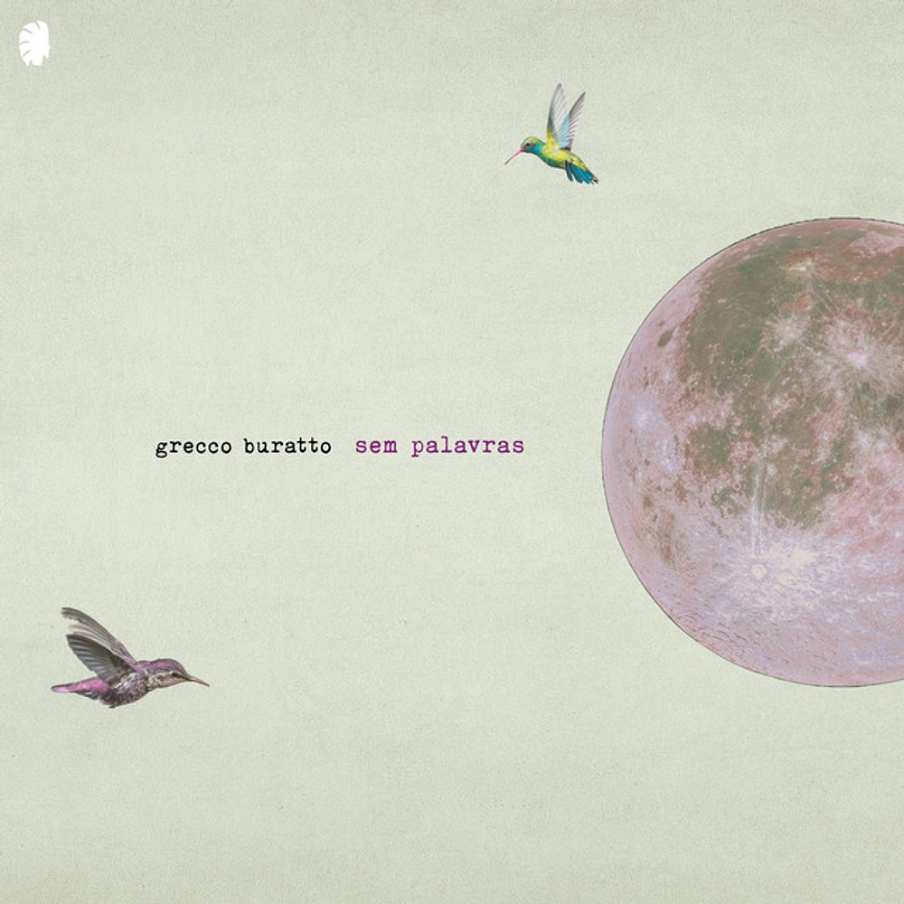 How One Acoustic Guitar Gets Captured on the Sem Palavras Album by Grecco Buratto